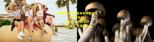 эйфоретик Баксан
